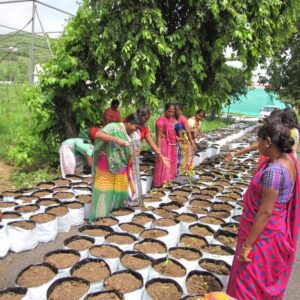 Nursery Training 2