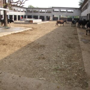Unit Dairy Demonstration Unit at KVK-04