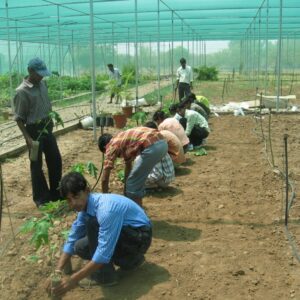 Unit Hi-tech Nursery at KVK