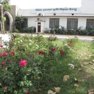 Unit KVK Administrative Building-03
