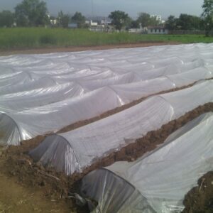 Unit Protected Cultivation