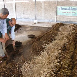 Unit Vermicompost 01